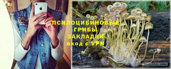мескалин Вяземский