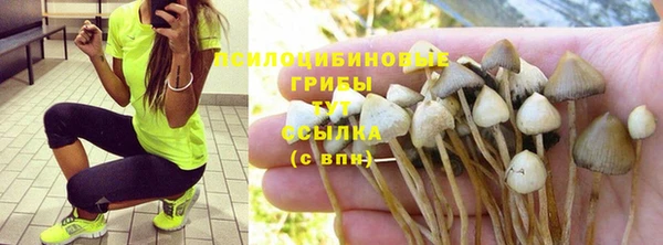 мескалин Вяземский