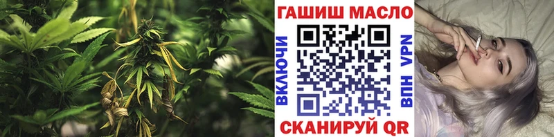 shop Telegram  OMG онион  Первоуральск  где купить наркоту  ТГК концентрат 